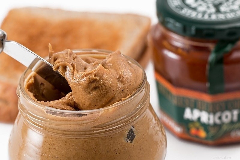17 Human Foods That Are Safe for Your Dog to Enjoy