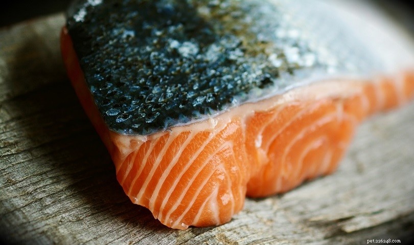 17 Human Foods That Are Safe for Your Dog to Enjoy