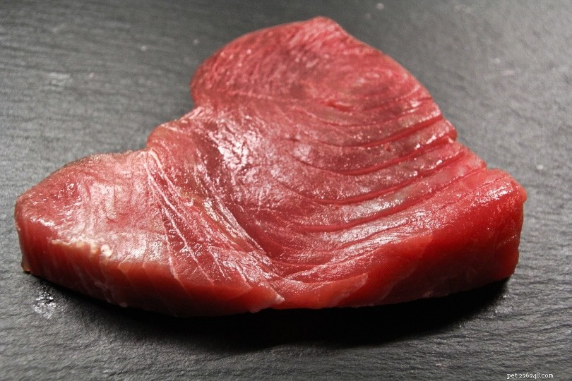 17 Human Foods That Are Safe for Your Dog to Enjoy