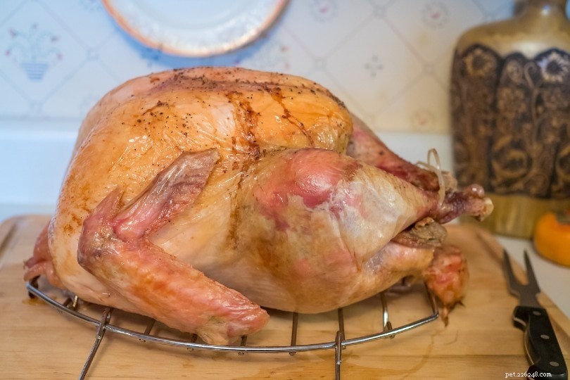 17 Human Foods That Are Safe for Your Dog to Enjoy
