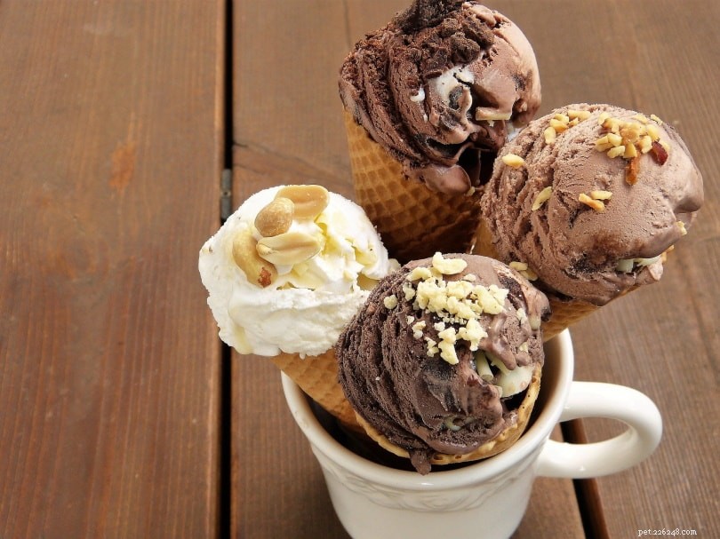 17 Human Foods That Are Safe for Your Dog to Enjoy