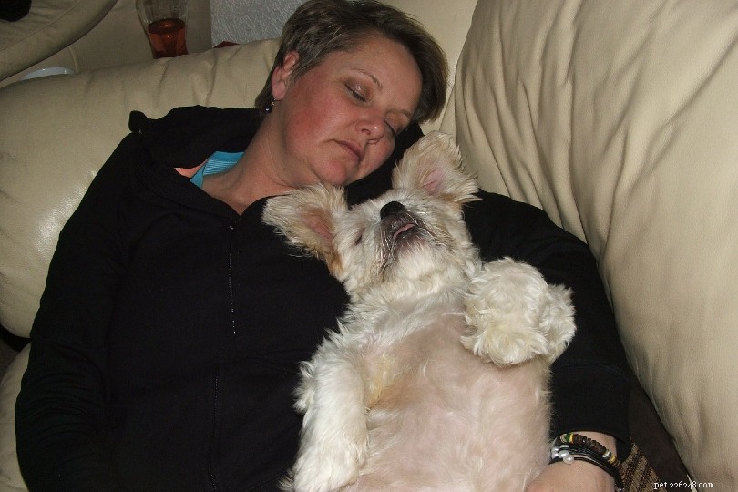 Eight Scientifically Proven Benefits of Sleeping Beside Your Dog