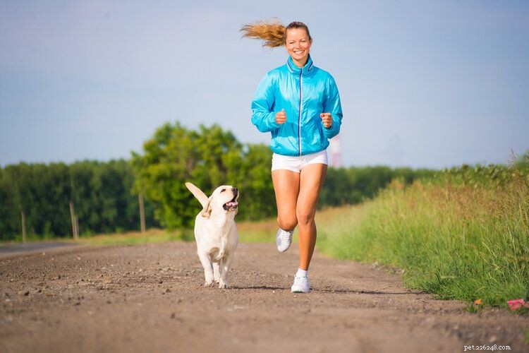 How Fast Can a Dog Run? Uncover the Truth About Canine Speed