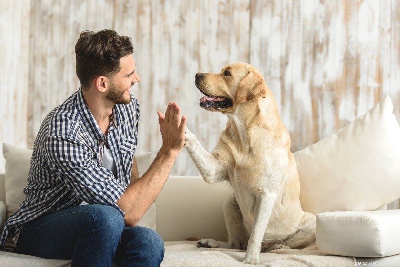 5 Proven Strategies to Keep Your Dog From Waking You Early