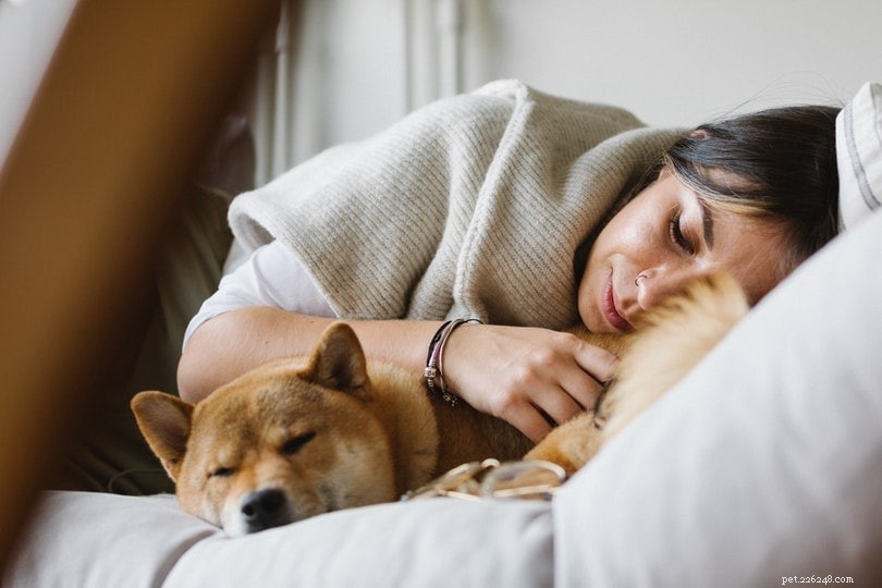 Why Do Dogs Sleep Facing You? 5 Expert-Backed Reasons