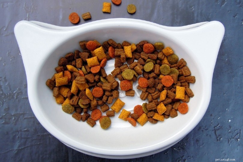 9 Effective Strategies to Keep Your Dog from Eating Your Cat’s Food