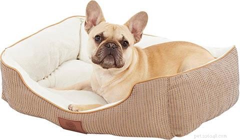 Do You Need a License to Legally Breed Dogs?