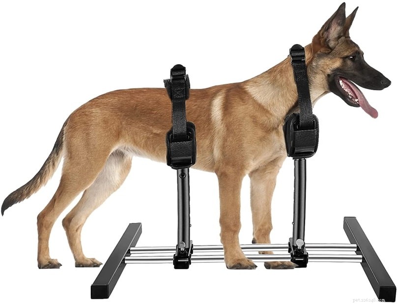 Understanding Dog Breeding Stands: Definition, Ethics, and Key Insights