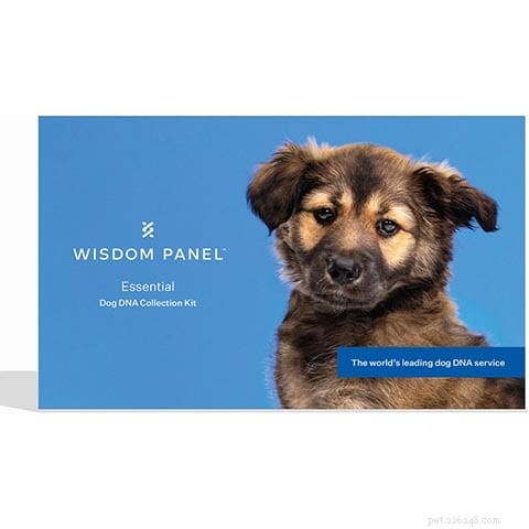Top Dog DNA Test Deals: Black Friday & Cyber Monday Savings 2022