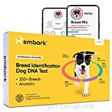 Top Dog DNA Test Deals: Black Friday & Cyber Monday Savings 2022