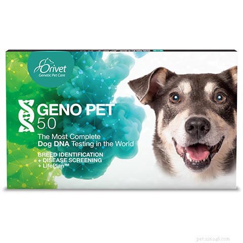 Top Dog DNA Test Deals: Black Friday & Cyber Monday Savings 2022