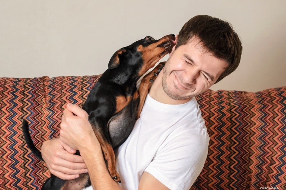 Why Does My Dog Lick My Ears? 6 Common Reasons Explained