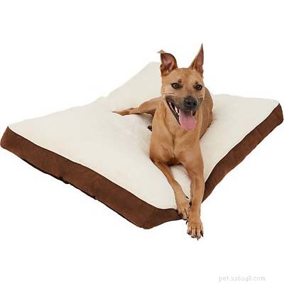Top Dog Bed Deals for Black Friday & Cyber Monday 2022 – Save Big on Comfort