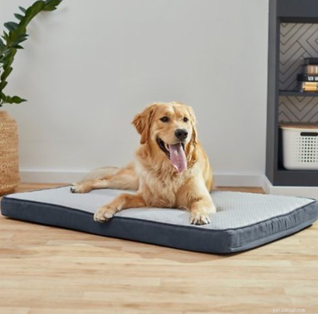 Top Dog Bed Deals for Black Friday & Cyber Monday 2022 – Save Big on Comfort