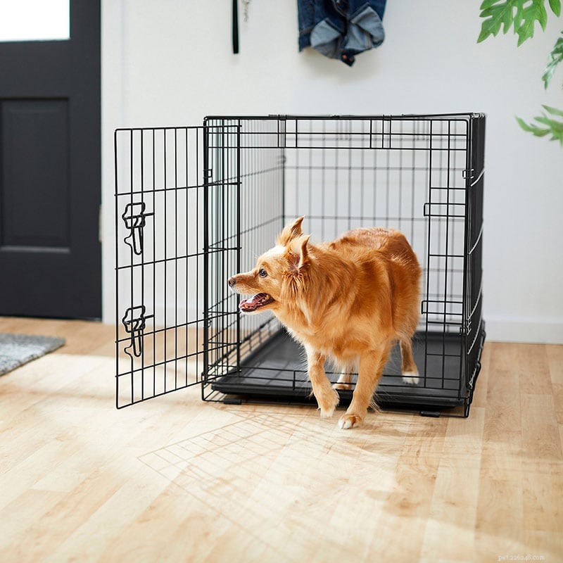 2022 Black Friday & Cyber Monday: Exclusive Dog Gear Deals – Clothes, Crates & More!