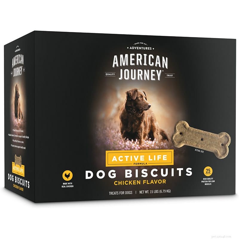 2022 Black Friday & Cyber Monday: Exclusive Dog Gear Deals – Clothes, Crates & More!