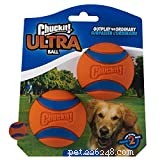 2022 Black Friday & Cyber Monday: Exclusive Dog Gear Deals – Clothes, Crates & More!