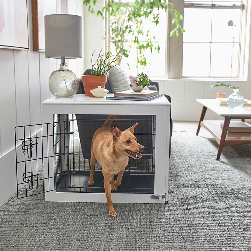 2022 Black Friday & Cyber Monday: Exclusive Dog Gear Deals – Clothes, Crates & More!