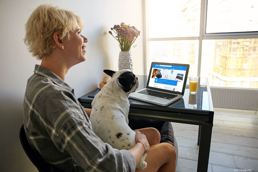 Why Dogs Love to Sit on You: 7 Key Reasons Explained