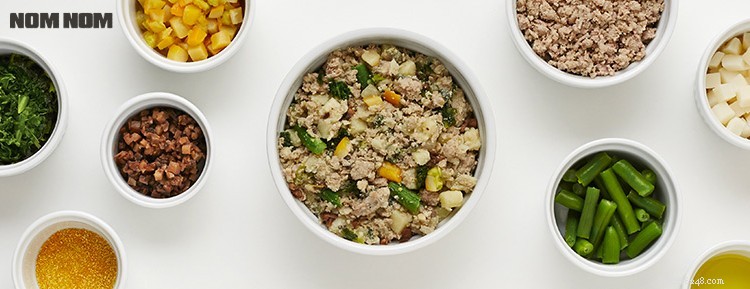 Nom Nom vs Spot & Tango: Which Fresh Dog Food Delivers Superior Nutrition?