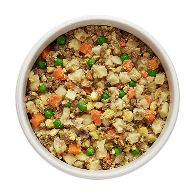 Nom Nom vs Spot & Tango: Which Fresh Dog Food Delivers Superior Nutrition?
