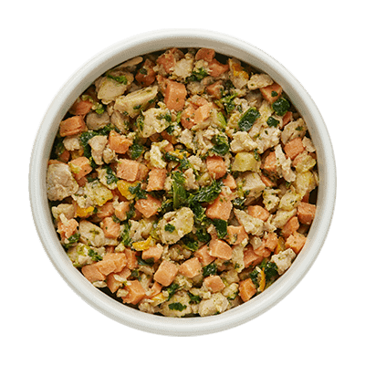 Nom Nom vs Spot & Tango: Which Fresh Dog Food Delivers Superior Nutrition?