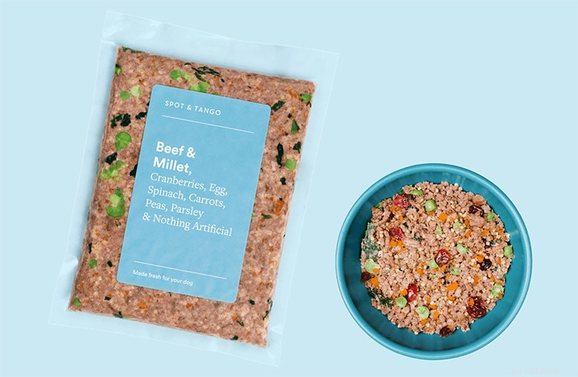 Ollie vs Spot & Tango: Expert 2022 Comparison of Fresh Dog Food Brands