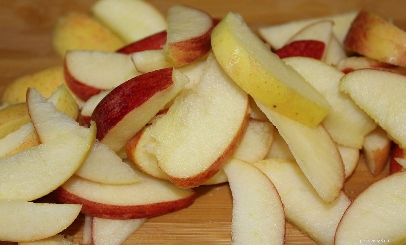 6 Essential Fiber Sources for Dogs – Daily Intake Guide
