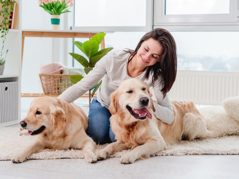 20 Essential Dog Statistics Every Pet Lover Should Know (2024 Edition)