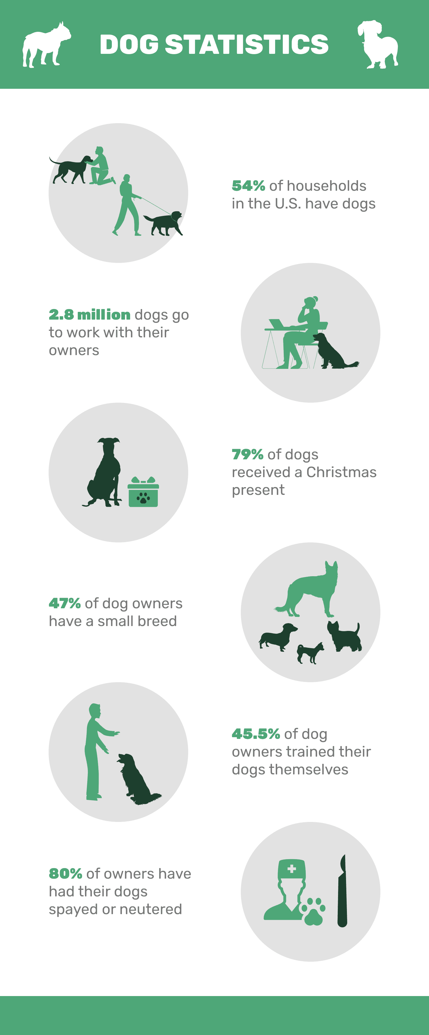 20 Essential Dog Statistics Every Pet Lover Should Know (2024 Edition)