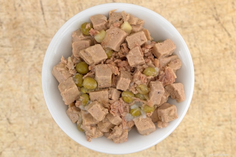 Choosing the Right Dog Food: Expert Nutrition & Label Guide