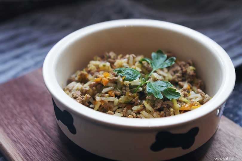 Choosing the Right Dog Food: Expert Nutrition & Label Guide