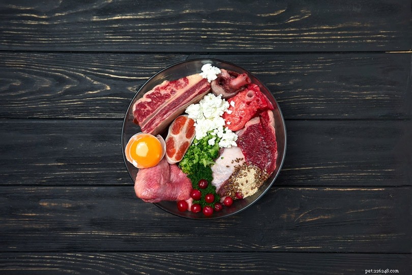 Choosing the Right Dog Food: Expert Nutrition & Label Guide