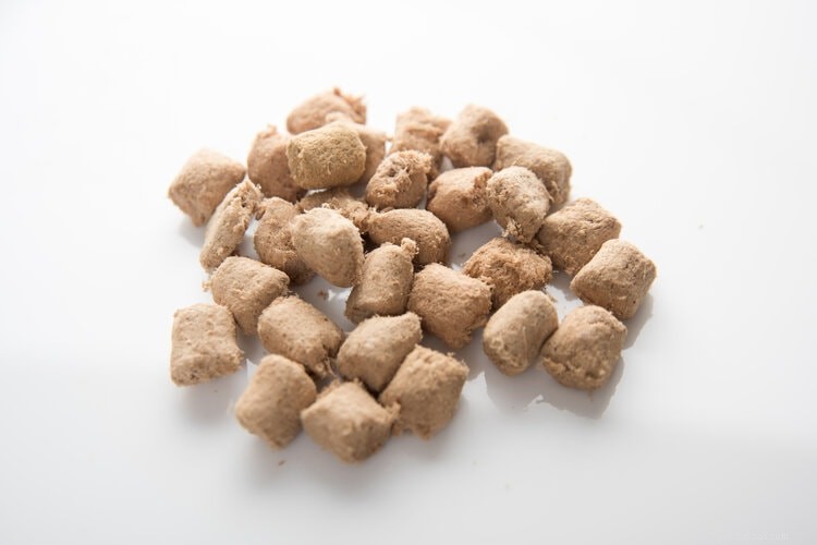 Choosing the Right Dog Food: Expert Nutrition & Label Guide