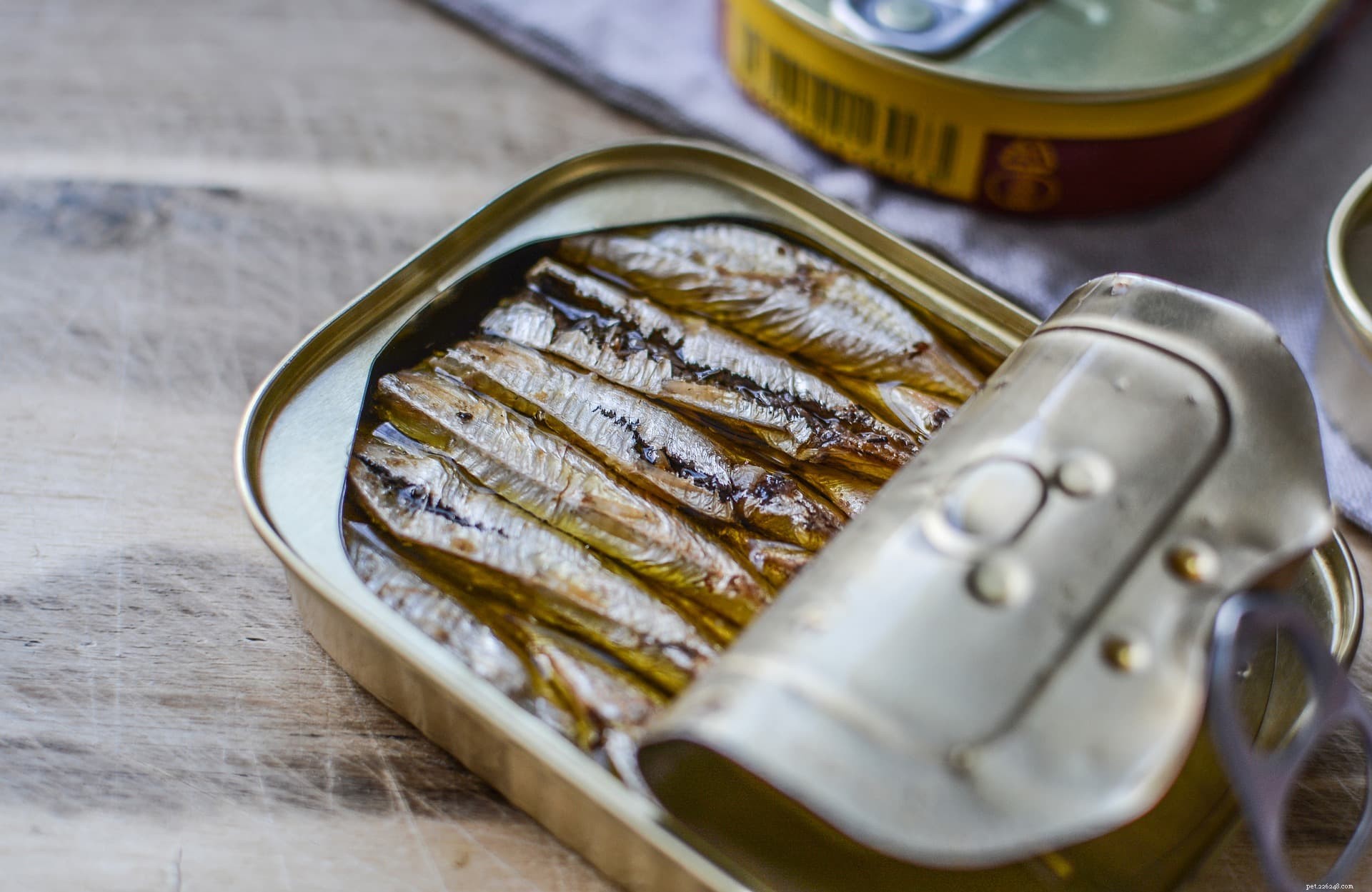 Top 5 Iron-Rich Foods for Dogs and Their Daily Requirements