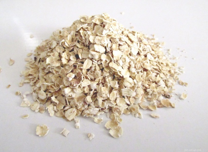 Top 6 Carbohydrate Sources for Dogs & Daily Intake Guidelines