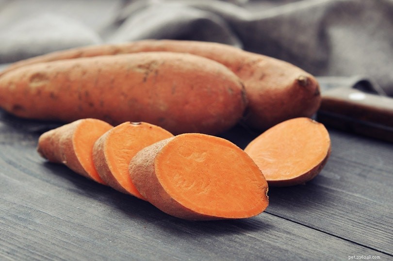 Top 6 Carbohydrate Sources for Dogs & Daily Intake Guidelines