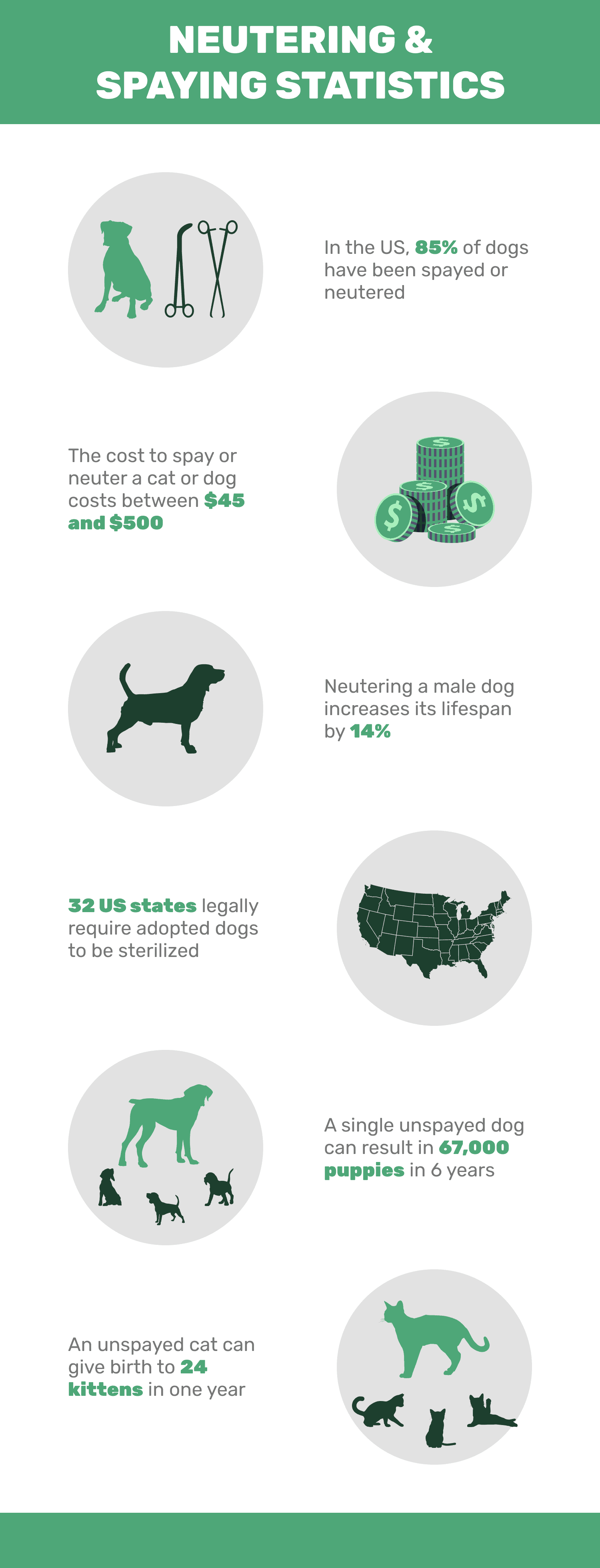2022 U.S. Pet Spay/Neuter Statistics: How Many Dogs and Cats Are Sterilized?