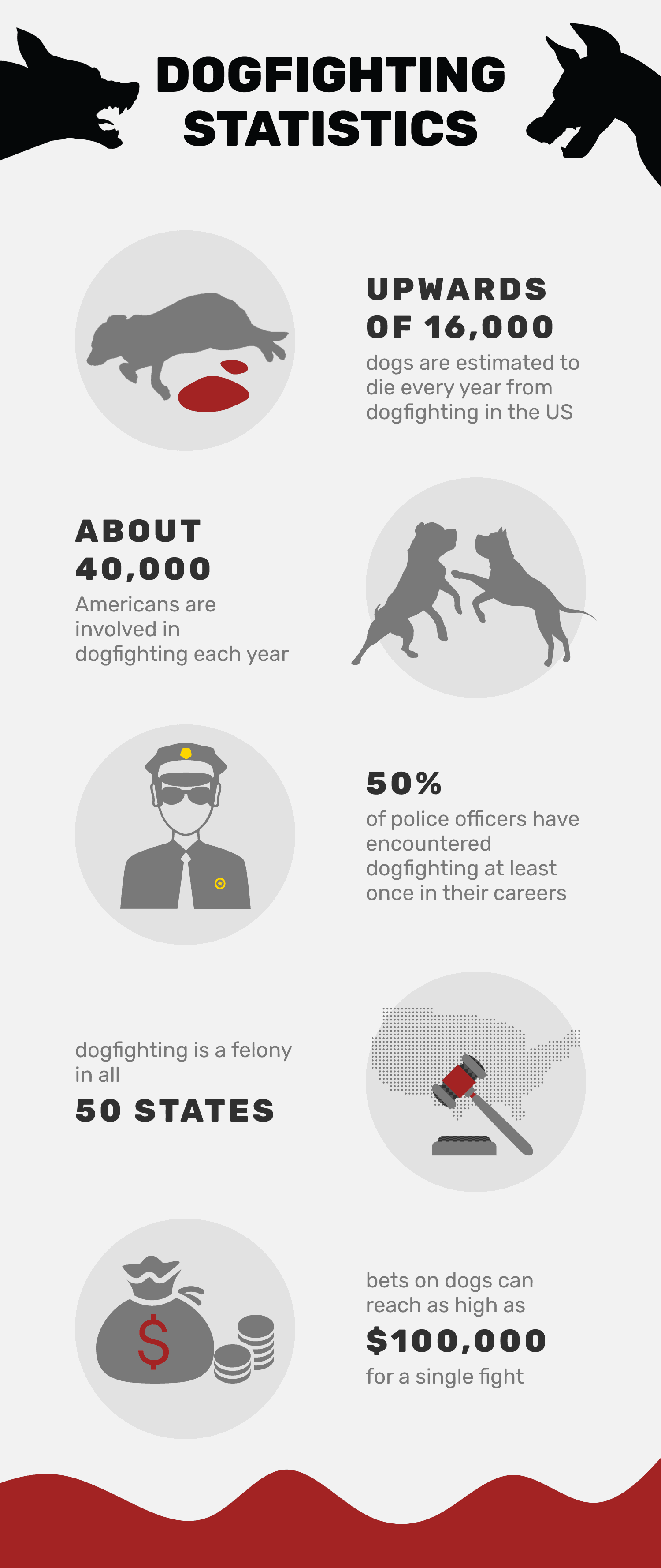 13 Eye‑Opening Dogfighting Statistics & Facts You Must Know