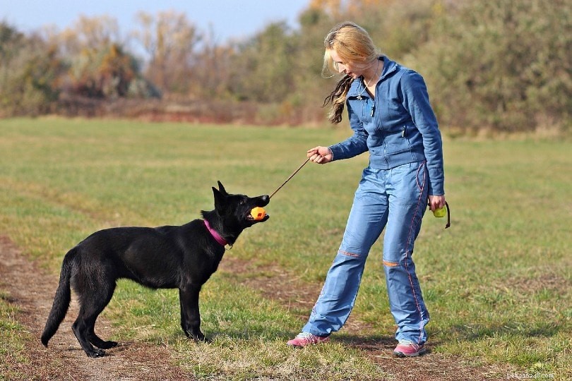 Can Dogs Detect the Unseen? The Truth About Their Sixth Sense