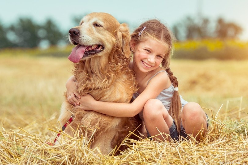 Top 10 UK Dog Statistics Every Pet Owner Needs to Know (2022)