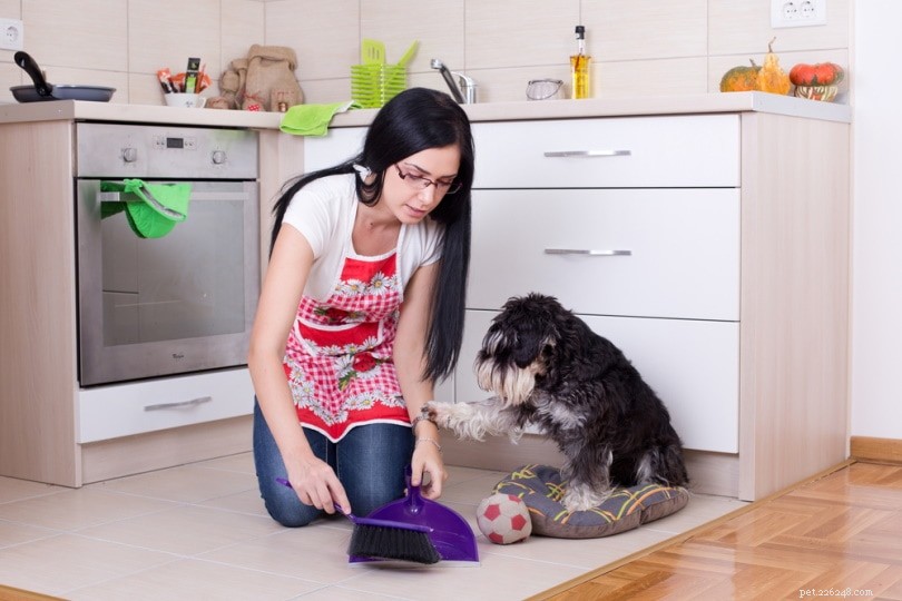 Why Does My Dog Poop Indoors? 8 Common Causes & Practical Solutions