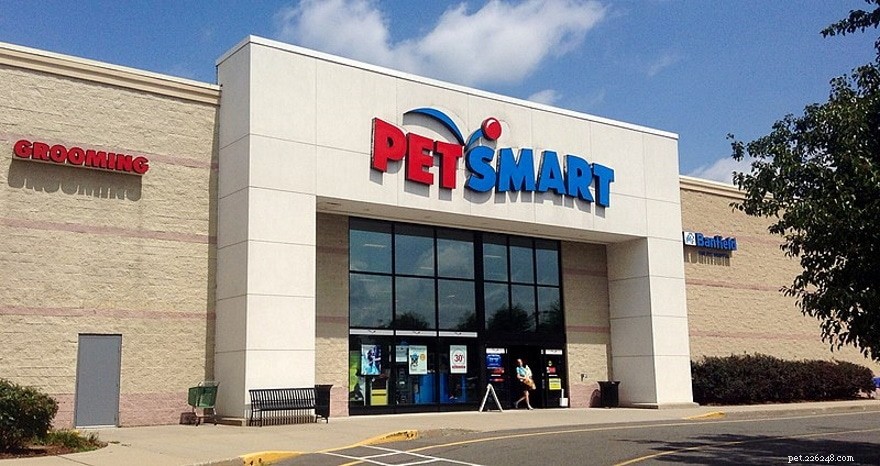 PetSmart Dog Training Review 2022: Costs, Effectiveness, and FAQs