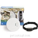 2021 Top 5 Electric Invisible Fences for Dogs – Trusted Reviews