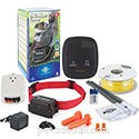 2021 Top 5 Electric Invisible Fences for Dogs – Trusted Reviews