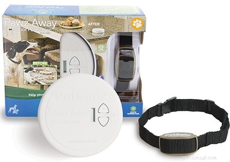 2021 Top 5 Electric Invisible Fences for Dogs – Trusted Reviews