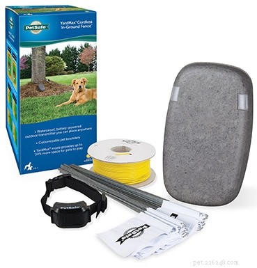 2021 Top 5 Electric Invisible Fences for Dogs – Trusted Reviews