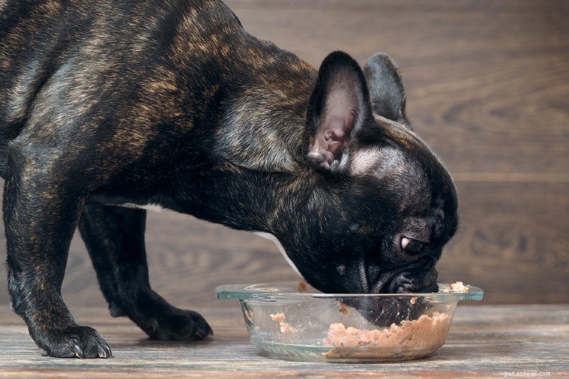 Top 11 Canned & Wet Dog Foods to Soothe Sensitive Stomachs - 2022 Review