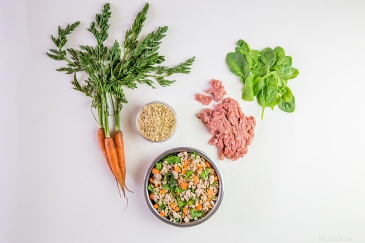 Top 11 Canned & Wet Dog Foods to Soothe Sensitive Stomachs - 2022 Review