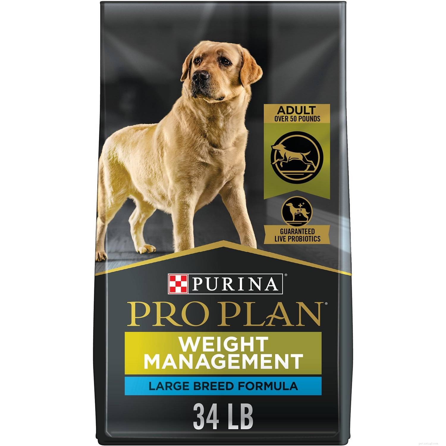 Top 8 Dog Foods for Managing Diabetes in Dogs – 2022 Review & Expert Picks